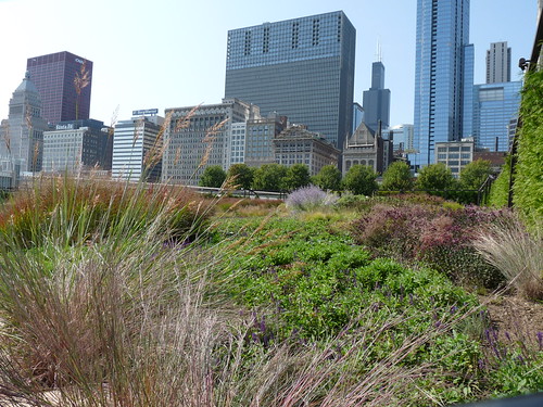The Lurie Garden