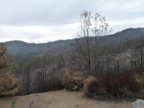 Fire damage to Big Meadow in Yosemite National Park