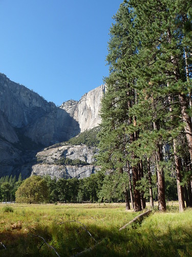 The Ecotone in the Valley