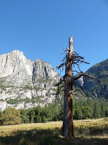 Woody&rsquo;s Granary