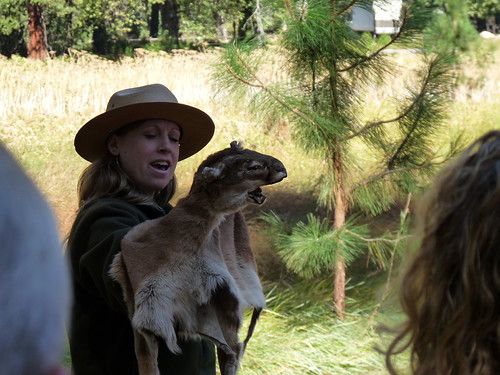 Ranger Rachel and Mountain Lion skin