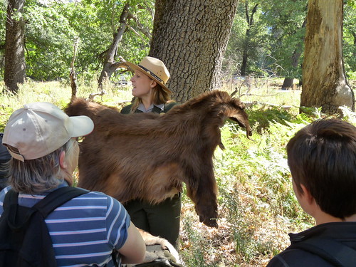 Ranger Rachel with Black Bear skin