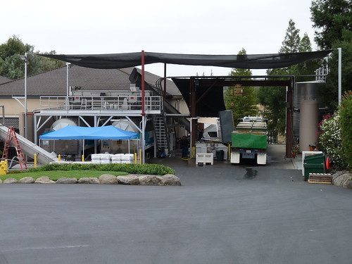 Grapes being separated and crushed at Simi