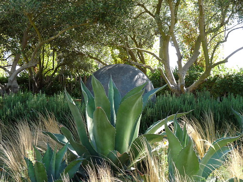 The Garden of Contrasts