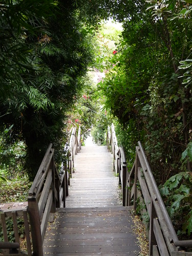 Filbert Street steps down