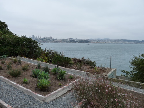 The inmates&rsquo; garden on Alcatraz