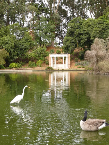 Lake in Golden Gate Park
