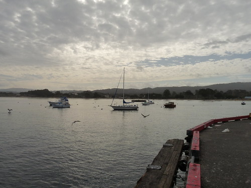 Monterey Bay from the wharf