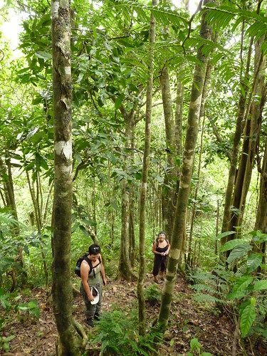 And more climbing&mldr;.