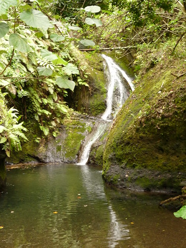 Wigmore&rsquo;s Waterfall