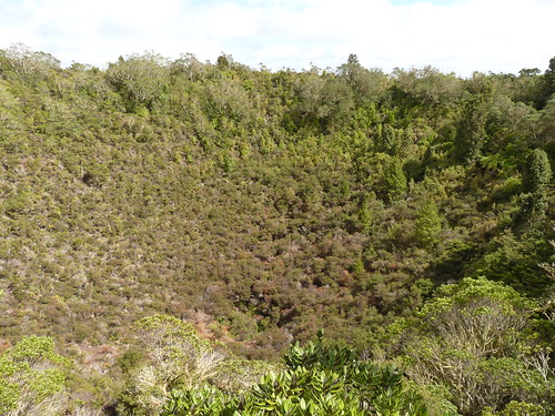 Rangitoto crater