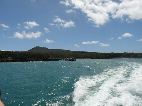 Rangitoto island