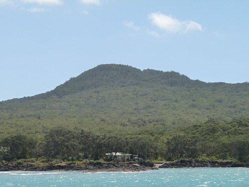 Rangitoto island