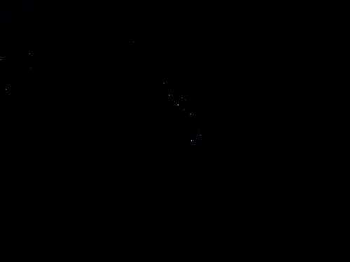 Glow worms in Ivy Cave