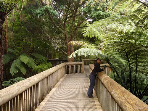 Claire at Waitangi Treaty Grounds