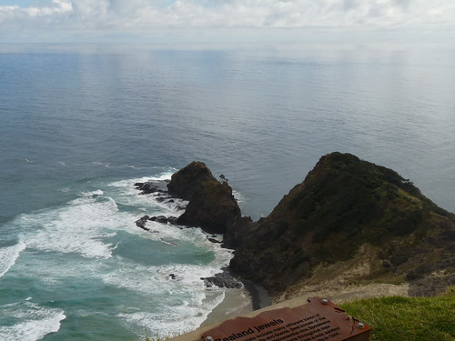 The ancient Pohutukawa tree and the point where the oceans meet