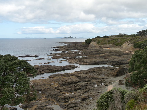 Coastline near the hostel in Henderson Bay