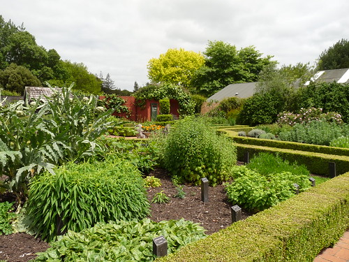 Herb Garden at Hamilton Gardens