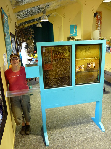 The bee hives at Honey Hive