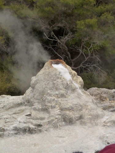 Lady Knox Geyser