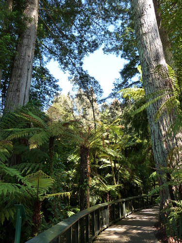 Rainbow Springs walkway