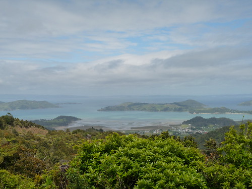Far north Cormorandal