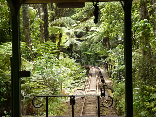 The line through the bush