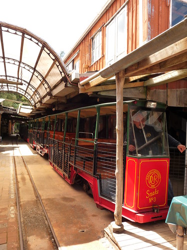 The train in the station