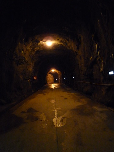 The access tunnel to West Arm power station