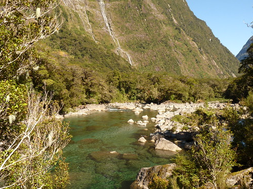 Crystal clear river on the way to Milford Sound