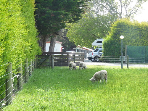 Our campsite in Invercargill