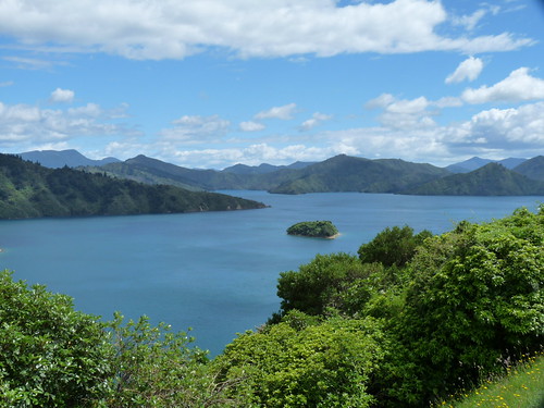 Marlbourough Sound from Picton