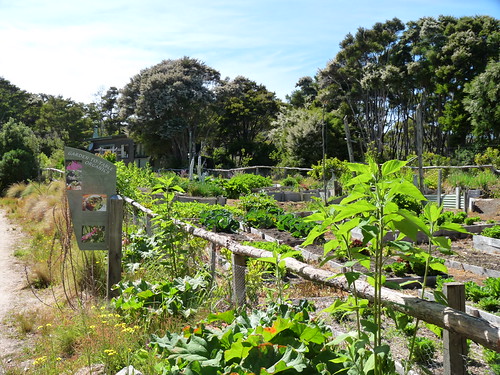 Awaroa Lodge vegetable gardens