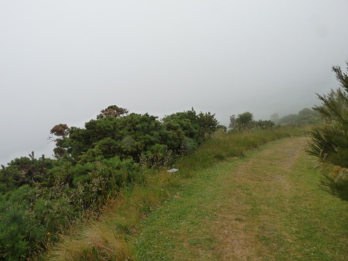 The &lsquo;view&rsquo; from the top at Hinewai Park