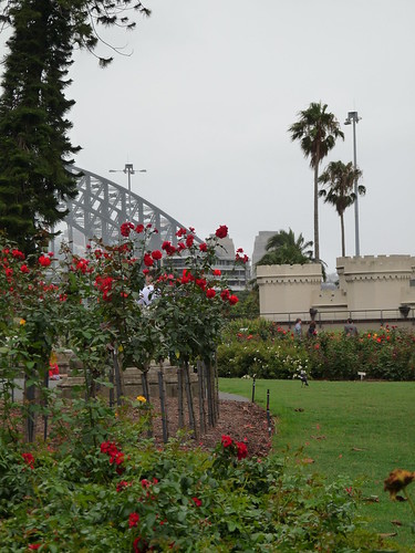View of the Sydney Harbour Bridge from the Botanic Gardens