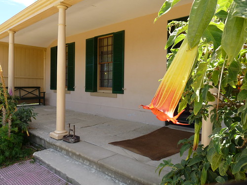 Surgeon&rsquo;s house at Port Arthur