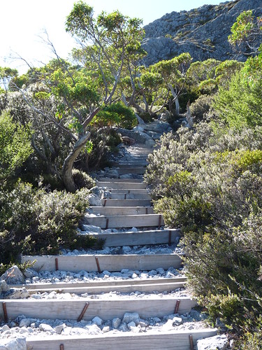 The path to Marion&rsquo;s Lookout