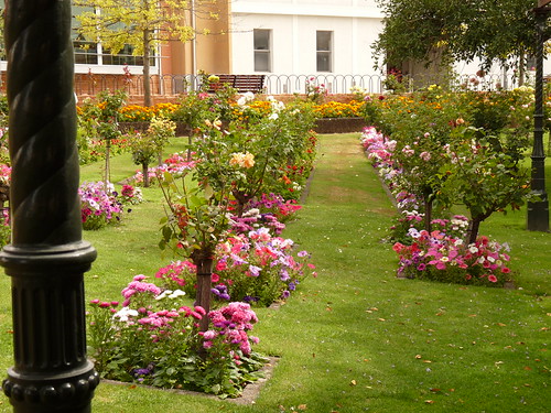 The Cave Garden in Mount Gambier