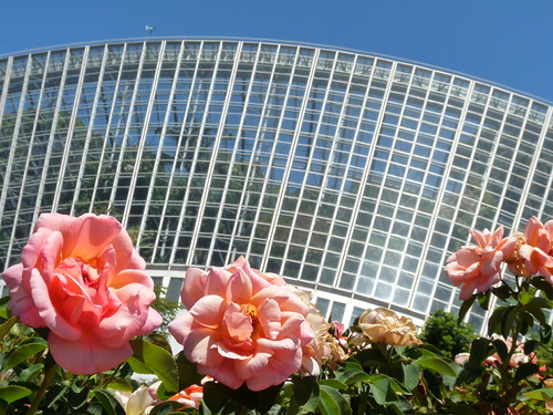 Adelaide Botanic Gardens