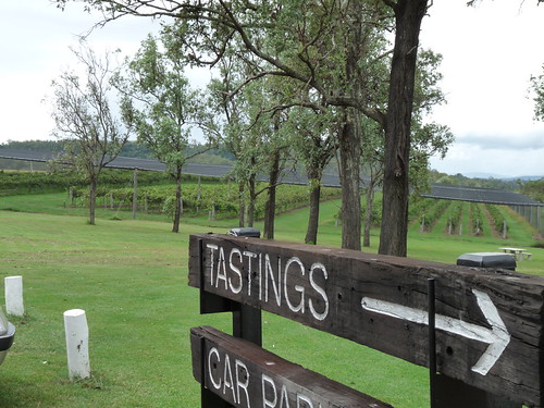 Vineyards and tastings!