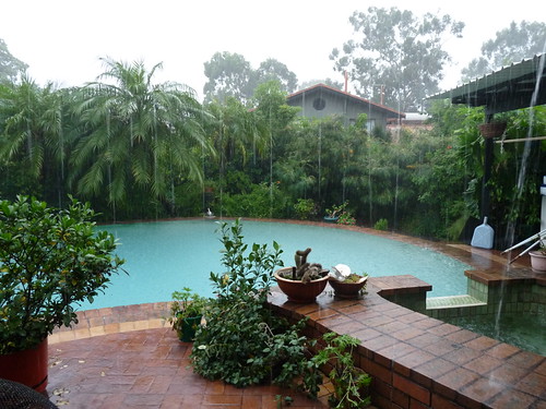Rain in Paradise