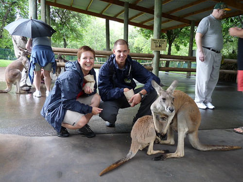 Us with the kangeroos