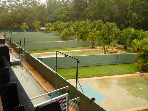 The crocodile pens at the Crocoseum