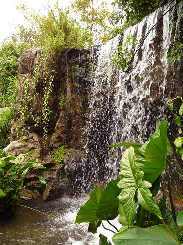 Waterfall in the botanic gardens