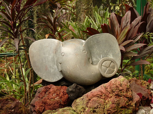 Elephant hiding in the bromeliad house