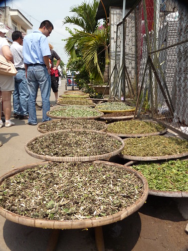 Drying herbs in the street