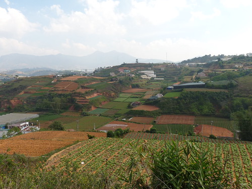 Fields around Dalat