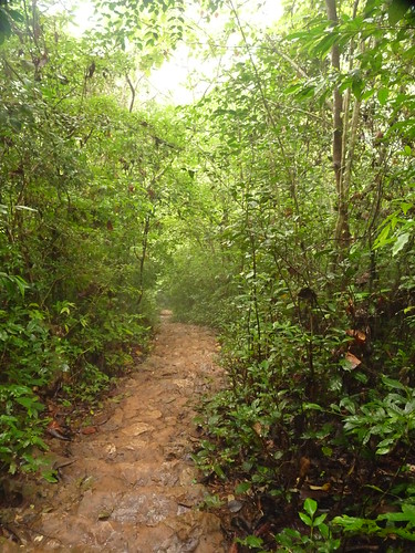 The steps up to the top of the mountain in Cat Ba National Park