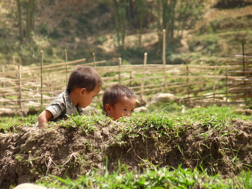 Children playing in the paddy field