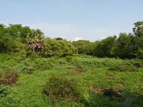 Untouched mass graves at the Killing Fields of Choeung Ek